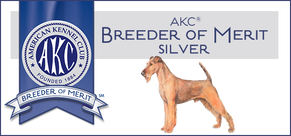 AKC Breeder of Merit Banner
