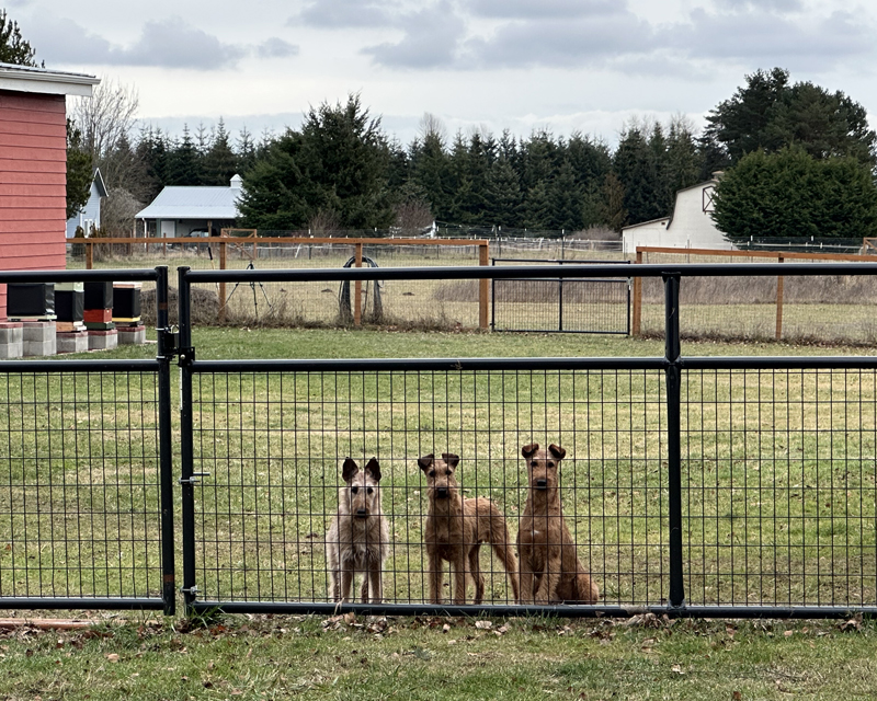 Red Branch Ranch